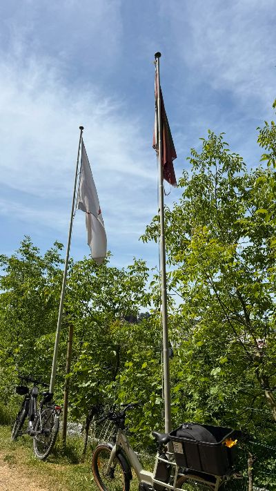 Sommerplausch 2026 – Bild 2