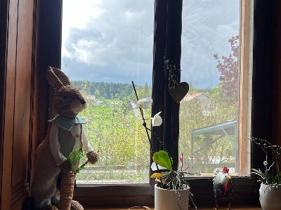 Zunftausflug 2024 – Bild 17